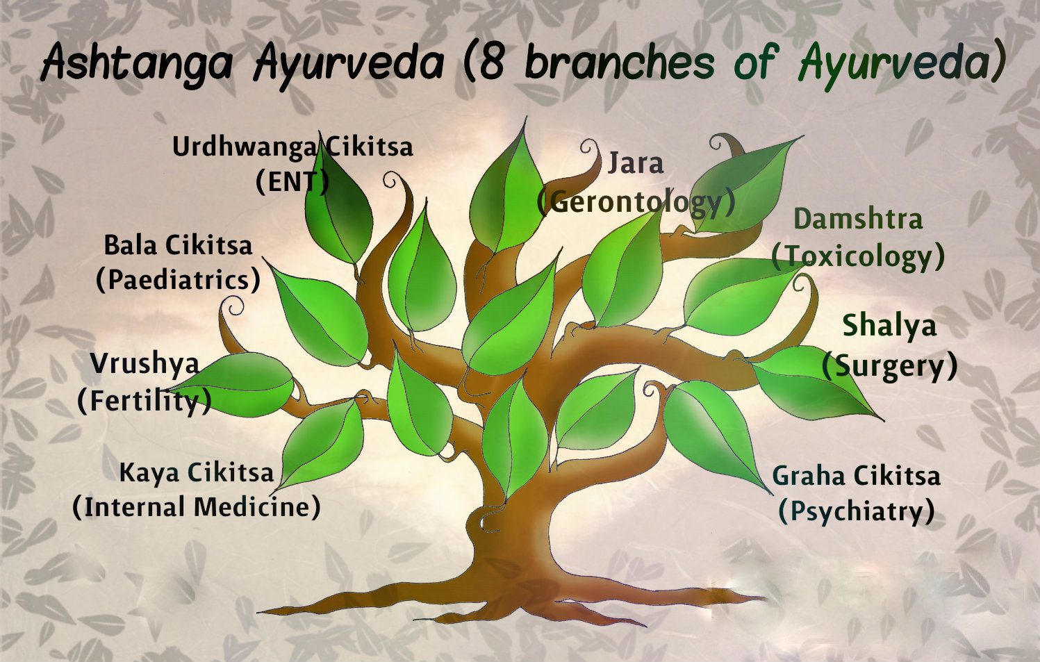 Principles Of Ayurveda Gain Knowledge About Ayurveda