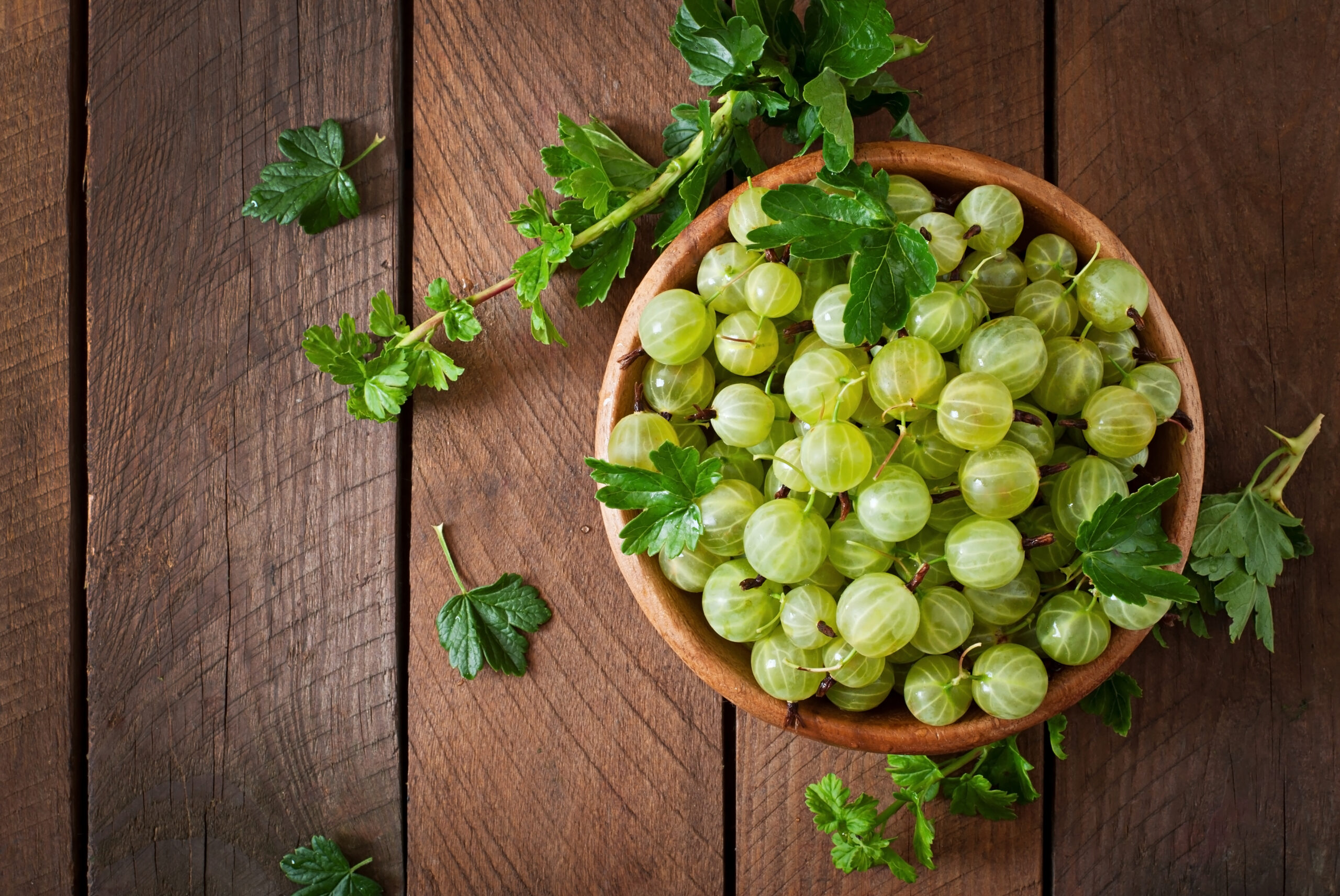 Science-Backed Amla