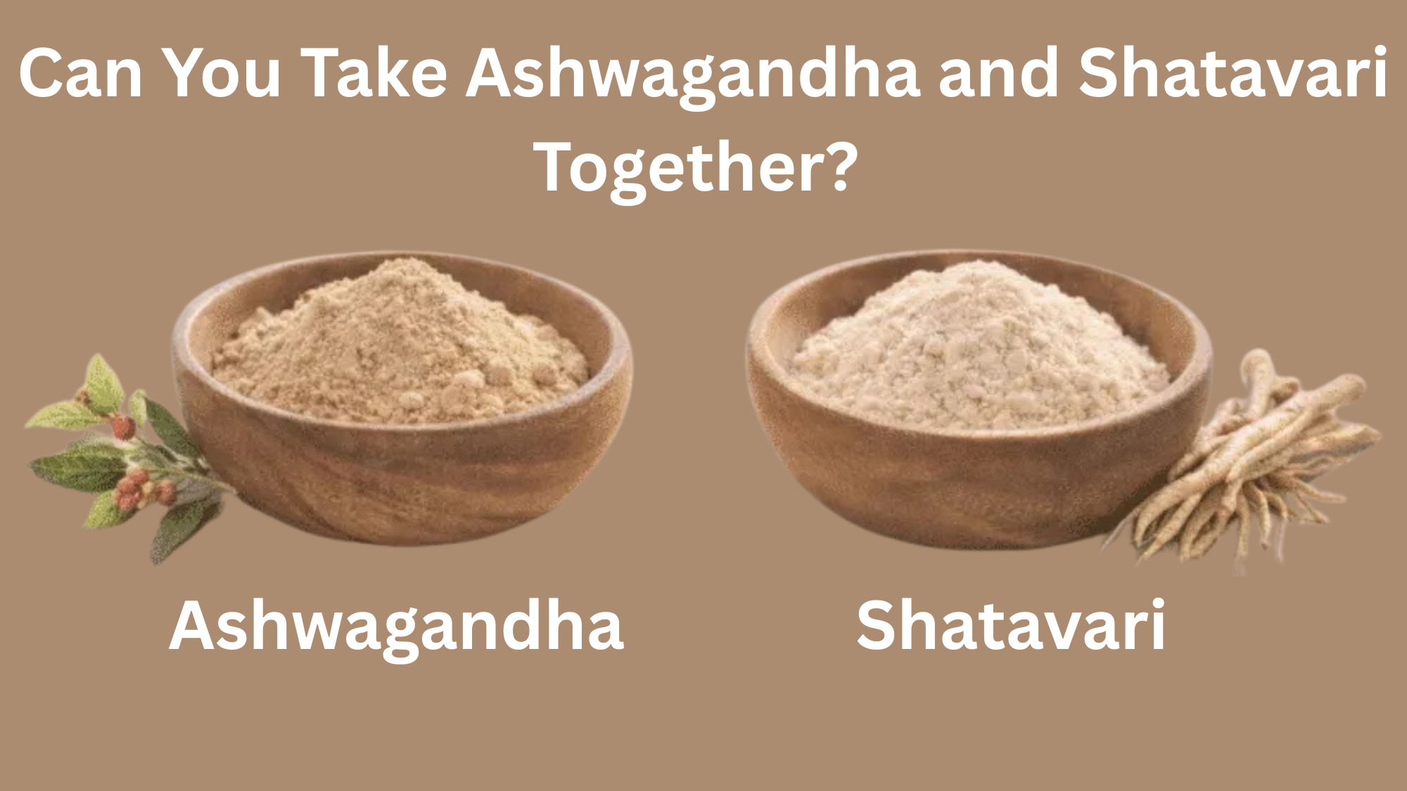 Ashwagandha and Shatavari